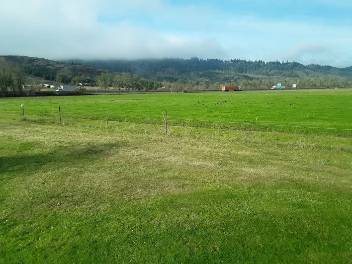 Rice Hill RV Park LLC Picture 3