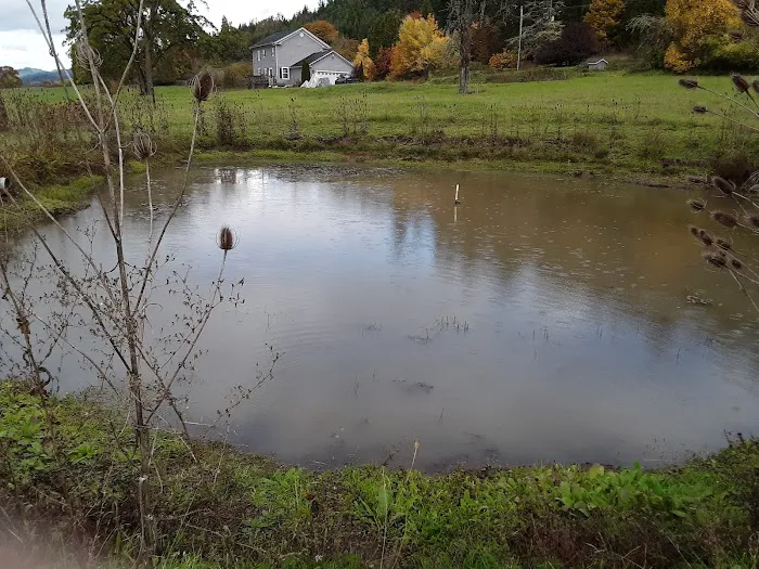 Rice Hill RV Park LLC Picture 7