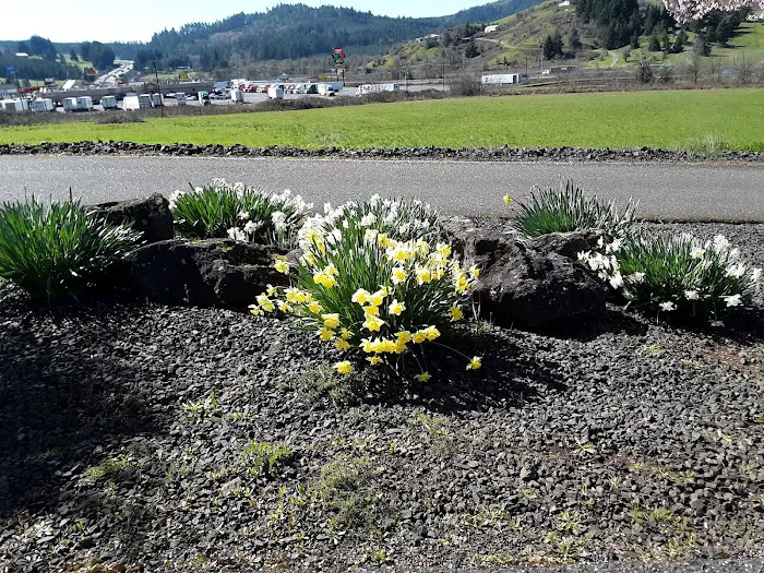 Rice Hill RV Park LLC Picture 5