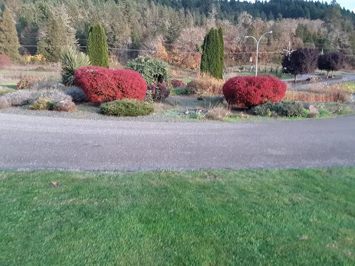 Rice Hill RV Park LLC Picture 6