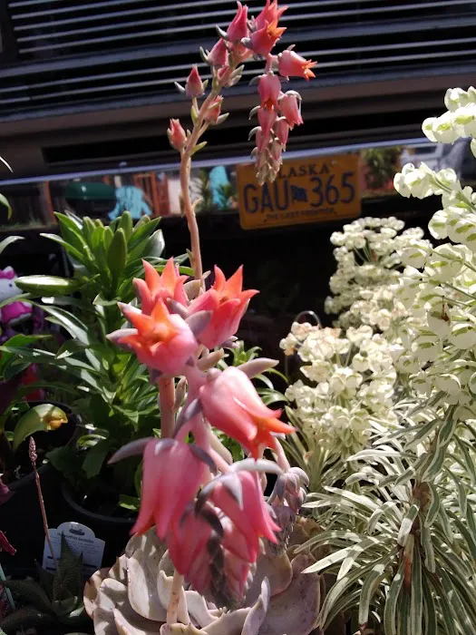 Twin Pines Trailer Park Picture 2