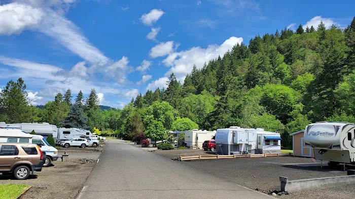 Timber Valley SKP Park Picture 1