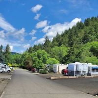 Timber Valley SKP Park ico