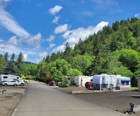 Timber Valley SKP Park