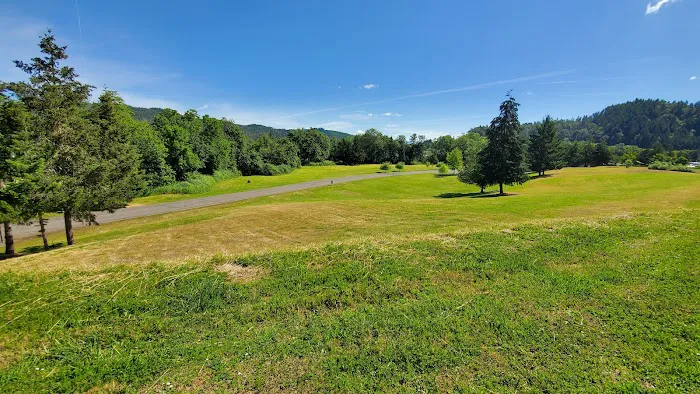 Timber Valley SKP Park Picture 4