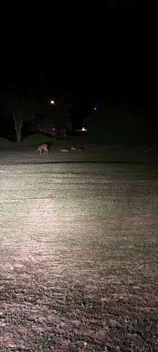 Timber Valley SKP Park Picture 3