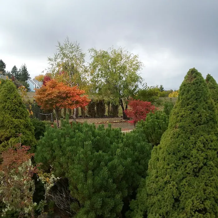 Timber Valley SKP Park Picture 10