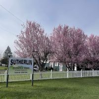 Sutherlin Estates ico