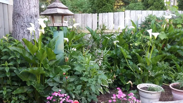 Poulsbo Mobile Home Park Picture 8