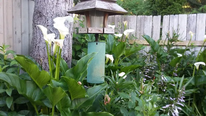 Poulsbo Mobile Home Park Picture 6