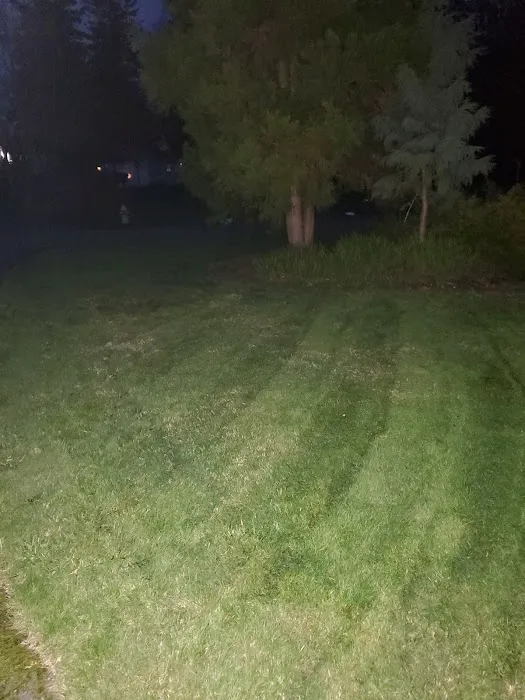 Orca RV Park Picture 1