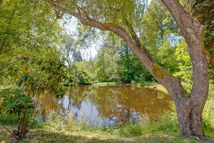 Country Club Estates Picture 9