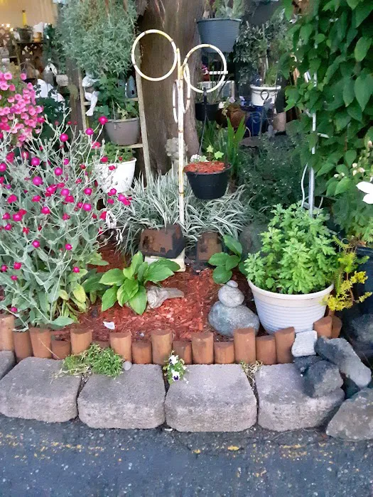 Martha Lake Mobile Manor Picture 7