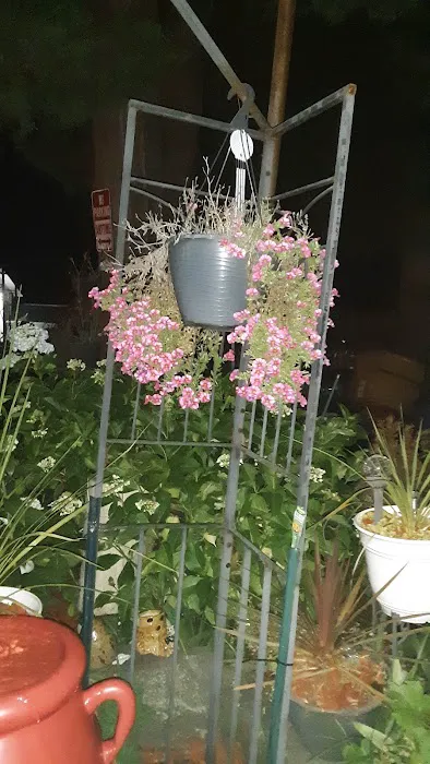 Martha Lake Mobile Manor Picture 5