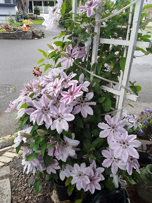 Martha Lake Mobile Manor Picture 9