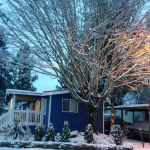 Martha Lake Mobile Manor