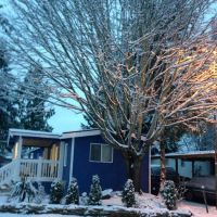 Martha Lake Mobile Manor ico