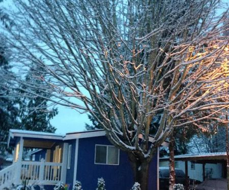 Martha Lake Mobile Manor