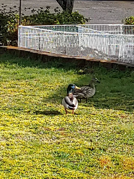 Silver Shores Mobile Home Park Picture 8