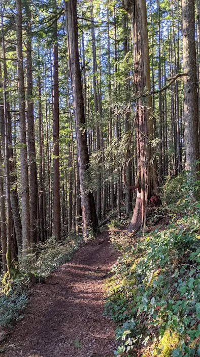 Wallace River Mobile Home & RV Park Picture 4