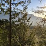 Wallace River Mobile Home & RV Park