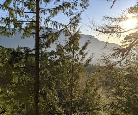 Wallace River Mobile Home & RV Park