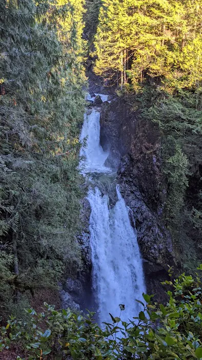 Wallace River Mobile Home & RV Park Picture 2