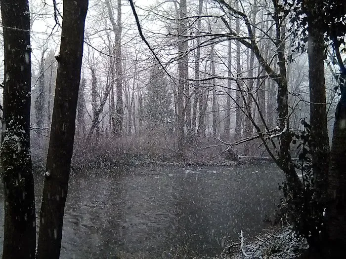 Wallace River Mobile Home & RV Park Picture 9