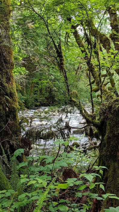 Wallace River Mobile Home & RV Park Picture 8