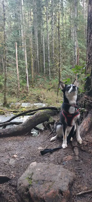 Wallace River Mobile Home & RV Park Picture 10