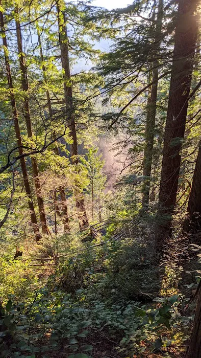 Wallace River Mobile Home & RV Park Picture 3