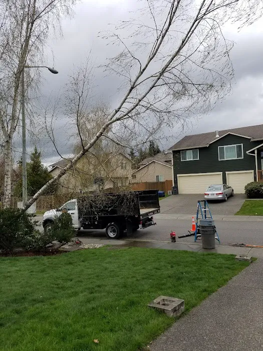 Cardinal Estates Picture 10