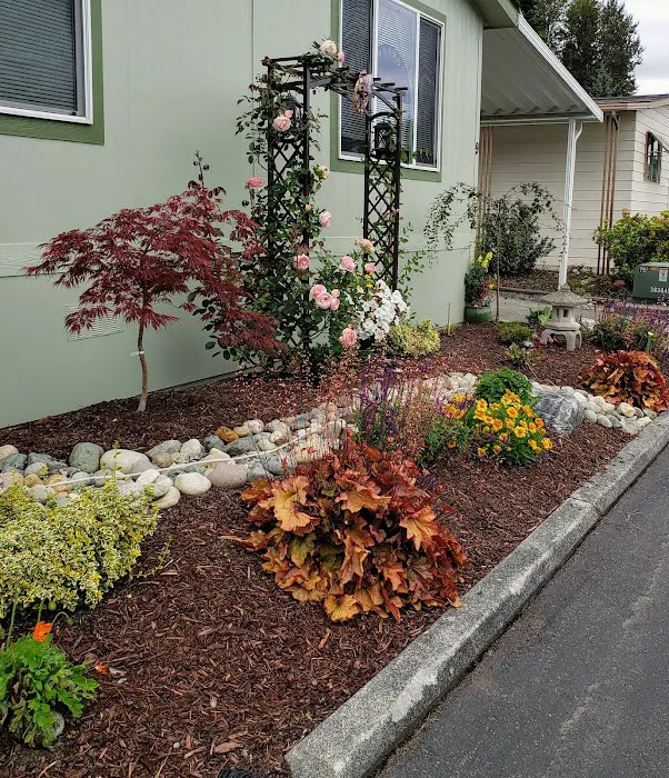 Lago De Plata Picture 5