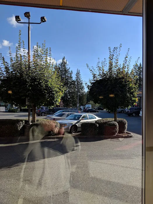 Lago De Plata Picture 3