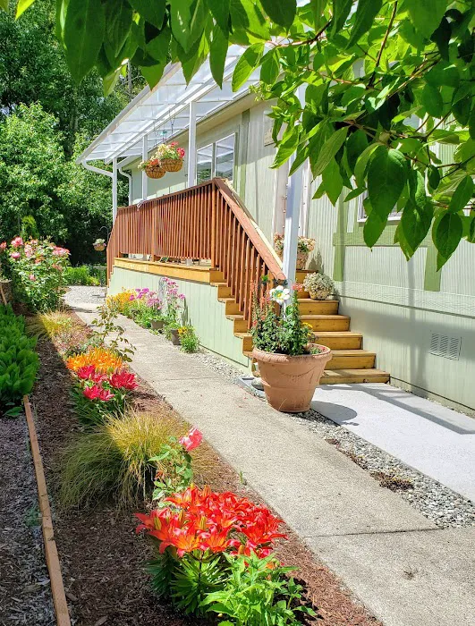 Lago De Plata Picture 4