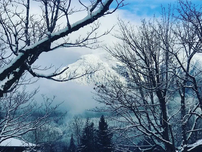 Alpine Meadows Estates Picture 10