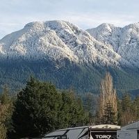 Alpine Meadows Estates ico
