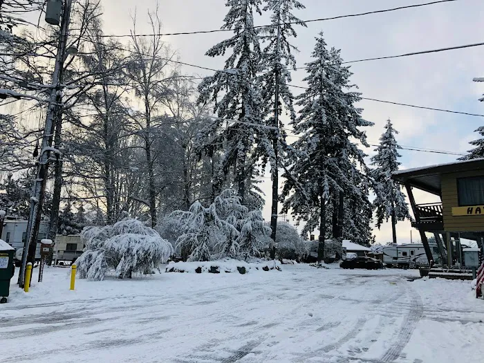 North Sound RV Park Picture 8