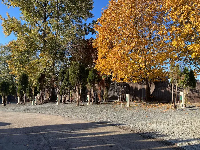 Liberty Lane RV Park Picture 6