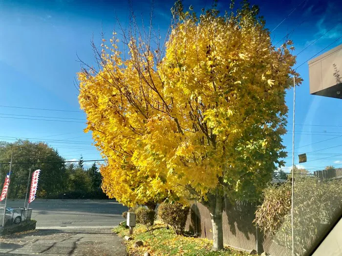 Liberty Lane RV Park Picture 8