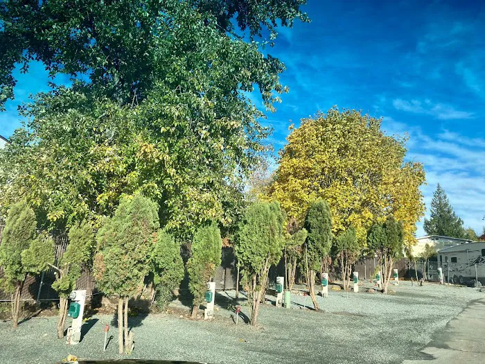 Liberty Lane RV Park Picture 5