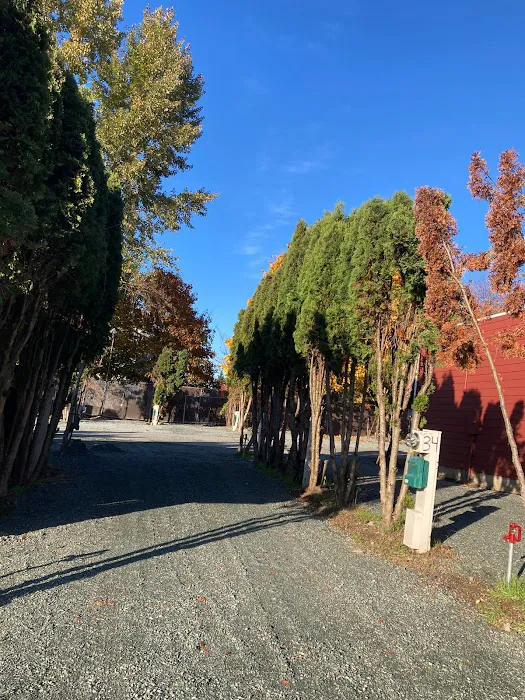 Liberty Lane RV Park Picture 1