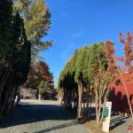 Liberty Lane RV Park