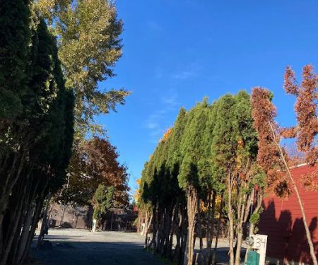 Liberty Lane RV Park