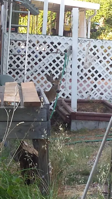 Saddle Butte Mobile Manor Picture 9