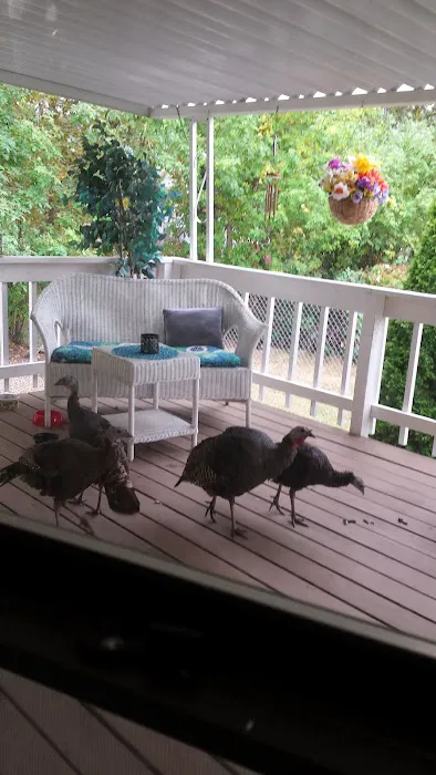 Saddle Butte Mobile Manor Picture 5