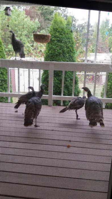 Saddle Butte Mobile Manor Picture 6