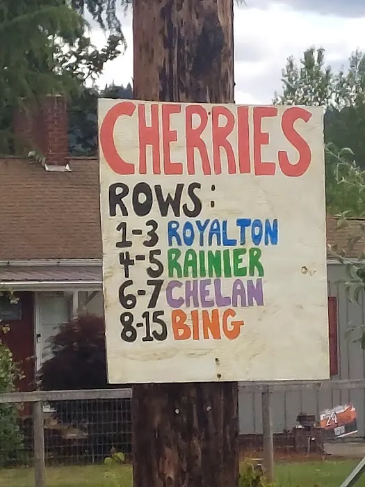 Pinewood Mobile Home Park Picture 1