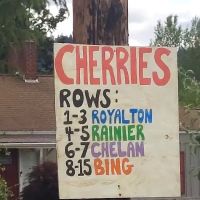 Pinewood Mobile Home Park ico