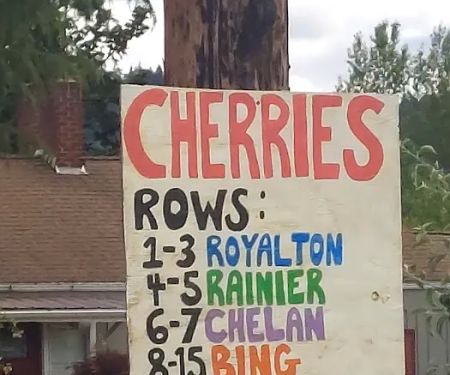 Pinewood Mobile Home Park